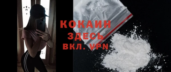 спайс Горняк
